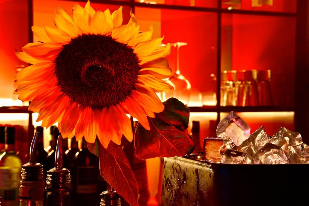 Eurhotel Floransa Dış mekan fotoğraf